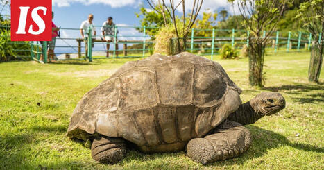 Maailman vanhin | 1Uutiset - Lukemisen t&auml;hden | Scoop.it