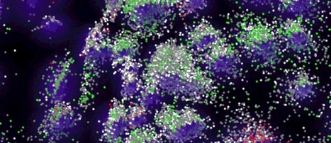 &ldquo;DNA Microscopy&rdquo; Offers Entirely New Way to Image Cells | Amazing Science | Scoop.it