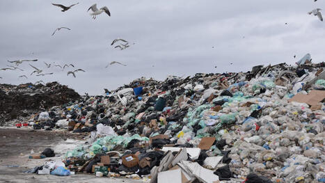 G&eacute;rer les d&eacute;chets co&ucirc;te deux fois plus cher &agrave; Saint-Pierre-et-Miquelon qu&rsquo;au niveau national : la collectivit&eacute; pr&eacute;pare un plan&nbsp; | COOPERATIONS INTERNATIONALES FRANCOPHONES POUR LA TRANSITION ECOLOGIQUE | Scoop.it