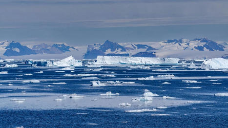Réchauffement climatique : les courants océaniques profonds en Antarctique ralentissent plus tôt que prévu, selon une étude | Biodiversité | Scoop.it