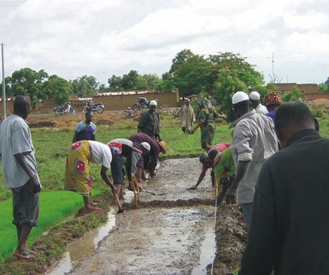 BURKINA FASO: Le Développement du SRI au Burkina Faso | SRI Global News ++ March - May 2025    System of Rice Intensification (SRI) | Scoop.it