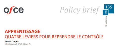 Les quatre pistes de l'OFCE pour &eacute;conomiser 10 milliards d'euros sur la d&eacute;pense nationale pour l'apprentissage | Formation professionnelle : environnement et dispositifs | Scoop.it
