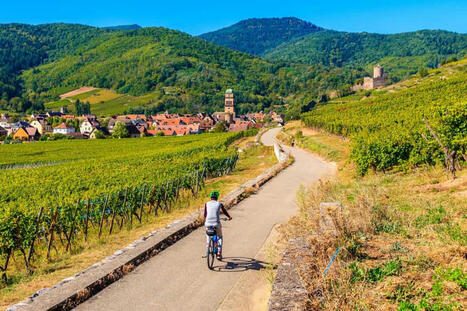 Envie d’évasion ? Ces 5 escapades à vélo depuis Strasbourg vont vous faire craquer | Strasbourg Eurométropole Actu | Scoop.it