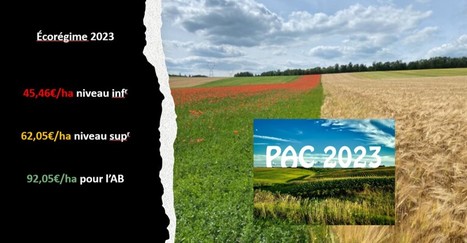 Paiements directs 2023 : l’écorégime... au régime sec | Lait de Normandie... et d'ailleurs | Scoop.it