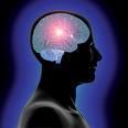 The Neuroscience of Mindfulness | Mindfulness & The Mindful Leader | Scoop.it