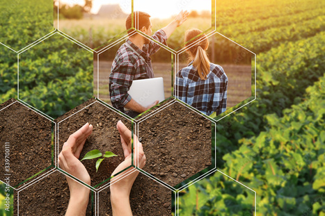 MAROC : Prévoit 109 millions $ pour la création d’emplois en milieu rural d’ici 2030 | AFRIQUES | Scoop.it