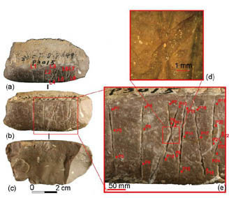 Engraved stone artifact found at the Shuidonggou Paleolithic Site, Northwest China | Science News | Scoop.it