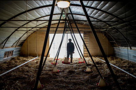 L&rsquo;inqui&eacute;tude sur le mal-&ecirc;tre des agriculteurs grandit apr&egrave;s une ann&eacute;e catastrophique&nbsp;: &laquo;&nbsp;Les gens sont &agrave;&nbsp;bout&nbsp;&raquo; | Revue de presse du Centre de doc | Scoop.it