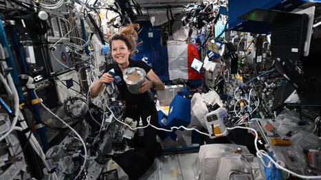 Sophie Adenot a fait pousser des plantes &agrave; bord de l'ISS, une tradition vieille de pr&egrave;s d'un si&egrave;cle ! | AERONAUTIQUE NEWS - AEROSPACE POINTOFVIEW - AVIONS - AIRCRAFT | Scoop.it