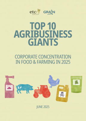Top 10 agribusiness giants: Corporate concentration in food & farming in 2025 | Questions de développement ... | Scoop.it