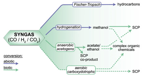 The potential of syngas as a central mediator for a carbon-agnostic circular economy | Ncm | RMH | Scoop.it