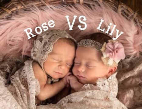 Baby Name Battle: Rose vs. Lily | Name News | Scoop.it