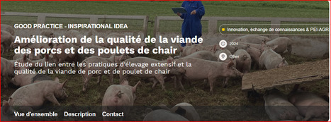 Amélioration de la qualité de la viande des porcs et des poulets de chair - EU CAP Network | Pour innover en agriculture | Scoop.it