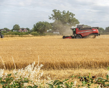 EU: Food price fears after heatwave destroys estimated &euro;2bn of crops&nbsp; | EUROPES | Scoop.it