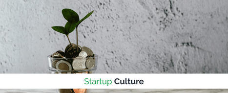 9 Questions to Ask About Your Startup Equity Package | Future Content Library | Scoop.it