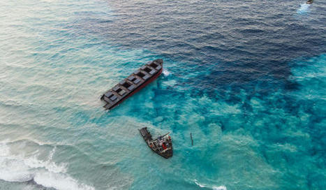 Mauritius oil spill: Ship's captain admits to partying onboard, gets jail sentence - News24.com | Agents of Behemoth | Scoop.it