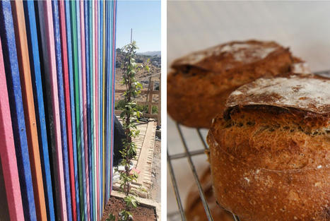 Neither wanting nor wasting | CIHEAM Press Review | Scoop.it