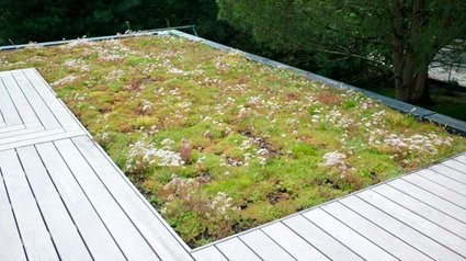 Une toiture végétale prête-à-poser | Build Green, pour un habitat écologique | Scoop.it