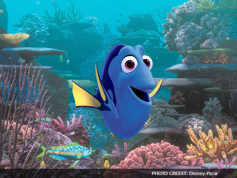 Finding Nemo Mp4 Movie Free Download In Hindi