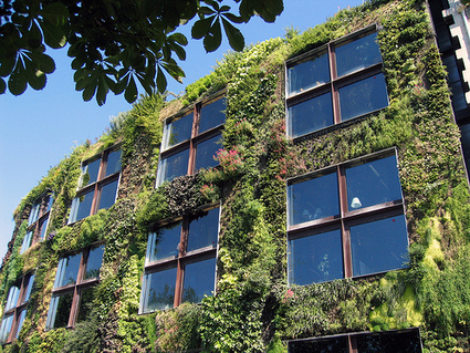 Le mur végétal | Build Green, pour un habitat écologique | Scoop.it