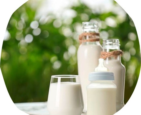 Du lait cru pour une meilleure santé | Lait de Normandie... et d'ailleurs | Scoop.it
