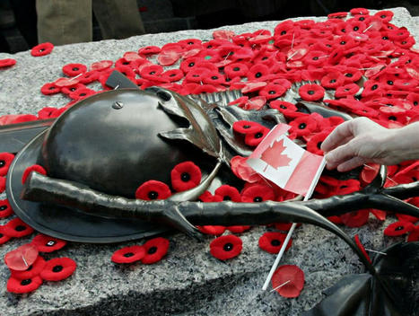 Remembrance Day - Learn more about the Poppy via the Canadian Legion  | Education 2.0 & 3.0 | Scoop.it