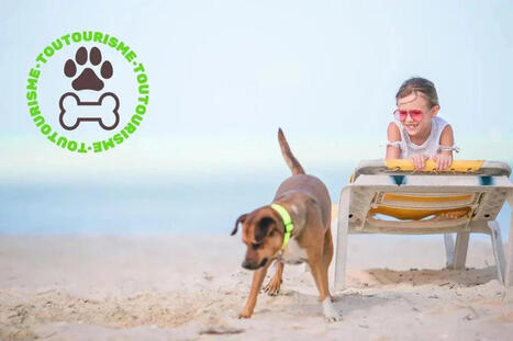 Label Toutourisme : garanties pour vacances avec son chien | Strat&eacute;gie de territoires et offices de tourisme | Scoop.it