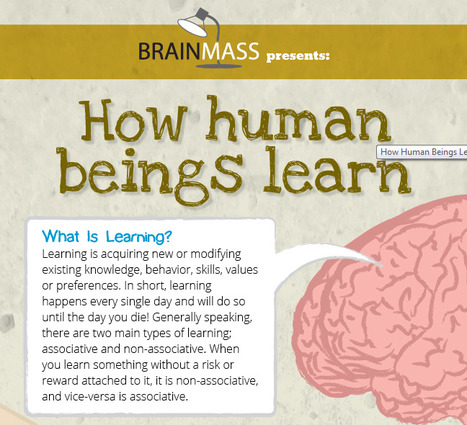 How Human Beings Learn | The BrainMass Edge | Eclectic Technology | Scoop.it