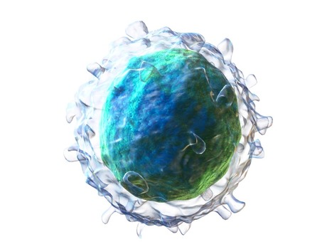 Increased Understanding of CLL Tumor Biology Unlocks Targeted CAR T-Cell Approaches | Genetic Engineering in the Press by GEG | Scoop.it