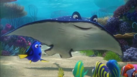 Le prochain Walt Disney comptera dans ses personnages... une raie transgenre, en plus d'un couple de lesbiennes | ACTUALITÉ | Scoop.it