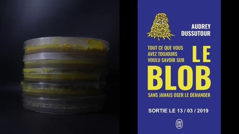 Aujourd'hui 19 octobre 2019, le blob fait son entrée au Parc Zoologique de Paris | Variétés entomologiques | Scoop.it