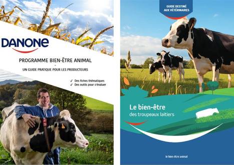 [Guide] « Le bien-être des troupeaux laitiers » | Lait de Normandie... et d'ailleurs | Scoop.it