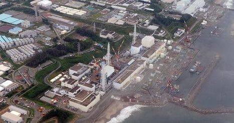 Après Fukushima, l'apparition des nouveaux cas de cancers chez les mineurs | MOVUS  Movement for a Sustainable Uruguay | Scoop.it