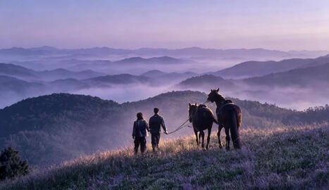 A winter sun wakes the wind in spring hills&rsquo; dream : mon avis &ndash; | Kunming-Yunnan | Scoop.it