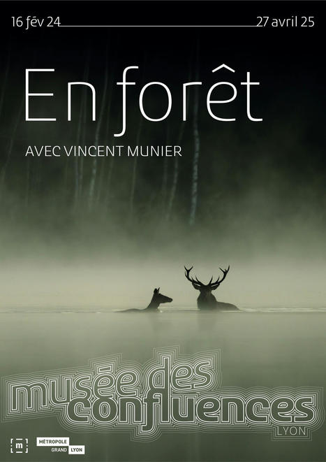 Mus&eacute;e des confluences - Exposition "En for&ecirc;t" | R&eacute;seau Patrimoine du Vivant et Ecologie par Mus&eacute;e du Vivant - AgroParisTech | Scoop.it
