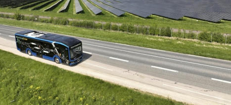 Medalla de oro para MAN en el ranking de sostenibilidad de EcoVadis | EcoVadis Customer Success Stories | Scoop.it