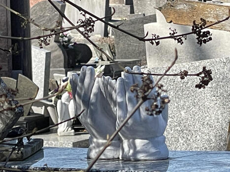 &laquo; Ils ont recours au suicide assist&eacute; parce qu&rsquo;il n&rsquo;y a plus d&rsquo;autre issue &agrave; la souffrance &raquo; | D&eacute;pendance et fin de vie | Scoop.it