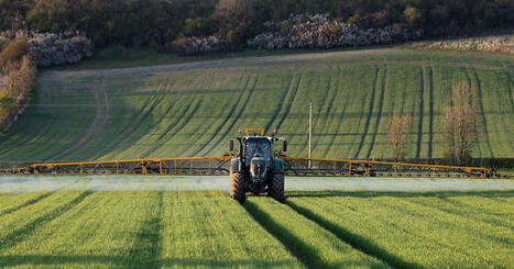 Comment un herbicide illustre les nombreuses façons dont les produits chimiques sont évalués | Chemistry World | Prévention du risque chimique | Scoop.it