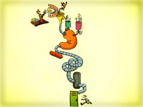 UNIT  2  " DIGESTIVE SYSTEM  AND  FOOD" | CLIL Didactic Units | Scoop.it