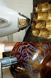 Journal of Raman Spectroscopy : Special Issue on Art and Archaeology - Ezine - spectroscopyNOW.com | Archaeology Articles and Books | Scoop.it