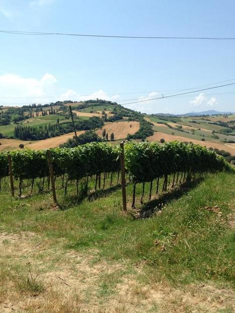 Telling Le Marche | Pottery and Wine | Good Things From Italy - Le Cose Buone d'Italia | Scoop.it