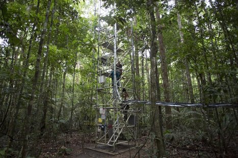 Incredible Images Of The Giant Tower Being Built In The Middle Of The Amazon | RAINFOREST EXPLORER | Scoop.it