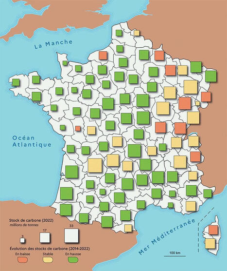 #ign #foret #france #carbone #climat #biodiversit&eacute; | Maxime Blondeau | 14 comments | Nancy, Lorraine | Scoop.it