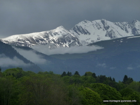Sur les hauts de Gouaux vers Peyre Blanque le 24 mai 2014 - Montagne Pyrénées | Vallées d'Aure & Louron - Pyrénées | Scoop.it