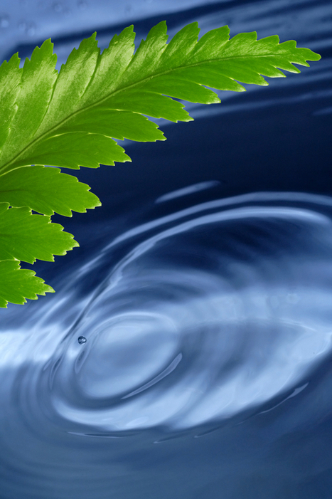 Inclusionality for newcomers... | quest inspiration | Scoop.it