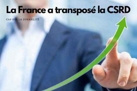 La CSRD est transposée, cap sur la durabilité des entreprises | [Wudo] Corporate Transformation | Scoop.it