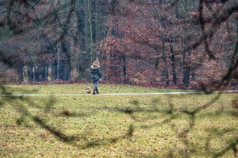 Lebenszufriedenheit der Luxemburger stagniert | #STATEC #Luxembourg #Europe | Luxembourg (Europe) | Scoop.it