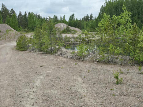 Nämä renkaanjäljet kiinnittivät poliisin huomion Laitilan turmapaikalla | 1Uutiset - Lukemisen tähden | Scoop.it