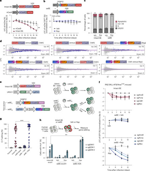 Inducible, split base editors for in vivo cancer functional genomics | Nbt | RMH | Scoop.it