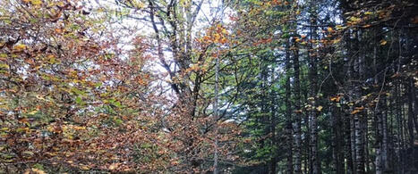 Pour des vacances de Toussaint r&eacute;ussies | Agence Touristique des Vall&eacute;es de Gavarnie | Scoop.it